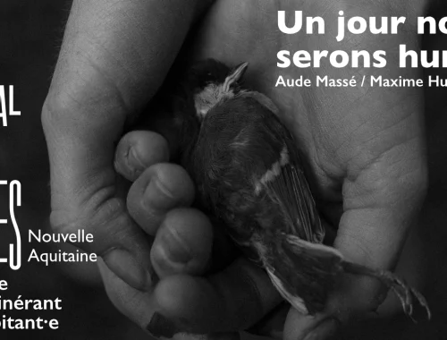 un jour nous serons humains spectacle 7ème édition festival de caves